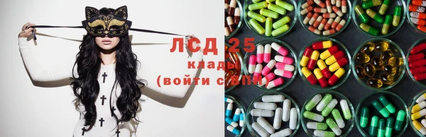 ПСИЛОЦИБИНОВЫЕ ГРИБЫ Алзамай