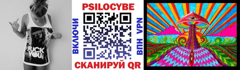 Галлюциногенные грибы Psilocybe сколько стоит ссылка на мегу tor Оханск